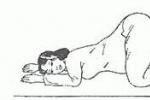 臀先露