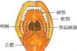 口腔癌皮膚轉移