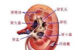腎性尿崩癥