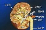 急性腎小球腎炎
