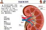 小兒范科尼綜合征