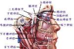 咽肌痙攣