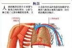 小兒竇性心動過速