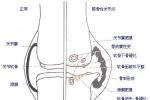 髕股關節疼痛