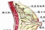 急性乳腺炎