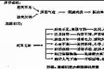 重癥肌無力危象