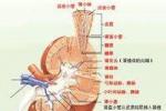 四氯化碳中毒