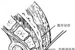 尾骨骨折與脫位