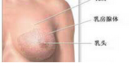 乳房纖維瘤