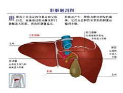 先天性肝囊腫