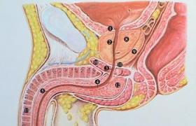 慢性細菌性前列腺炎