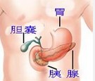 肛腸疾病