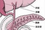 肛腸疾病