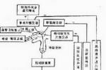 低鈉血癥