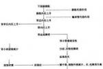 小兒尿路梗阻