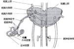 前庭神經炎