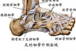 軟組織損傷