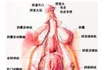膀胱頸攣縮