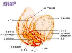 產後泌尿道感染