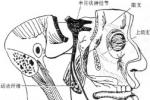 三叉神經痛