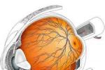 缺血性視網膜疾病