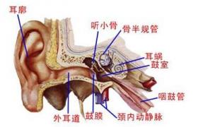 外耳道膽脂瘤