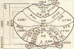 顱內腫瘤