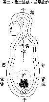 筋痿