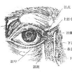 混睛帳