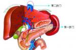 肝功能衰竭