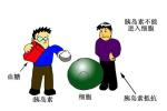 糖尿病