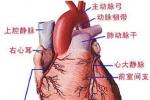 心功能不全