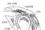 肩峰下滑囊炎