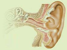 外耳道癤腫
