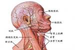 痙攣性斜頸