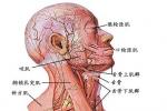 痙攣性斜頸