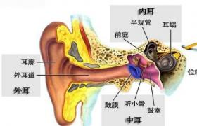 中耳炎