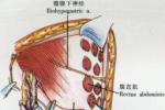 急性上呼吸道感染