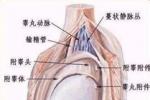 精囊惡性腫瘤