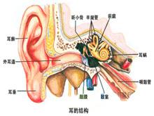 先天性耳聾