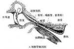 中耳氣壓傷