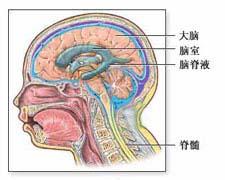 位置性眩暈