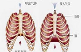 膈肌膨出