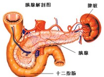 胰腺炎