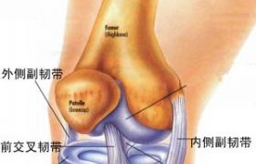 膝關節韌帶損傷