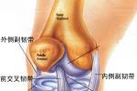 膝關節韌帶損傷