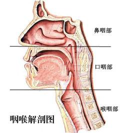 慢性咽炎