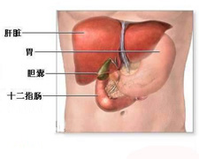 肝膿腫