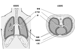 胸膜炎