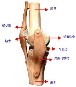 類風濕性關節炎